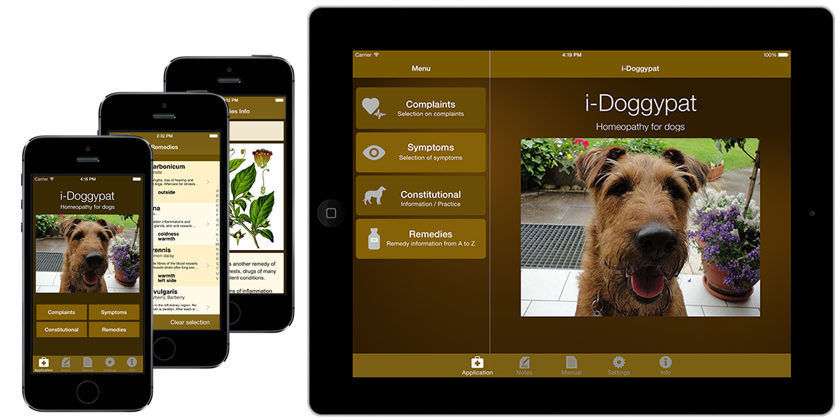 Screenshot of Friday Harbor template on various devices.